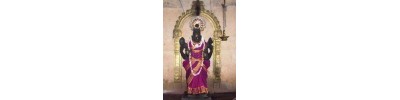 159. திருநாலூர் மயானம்